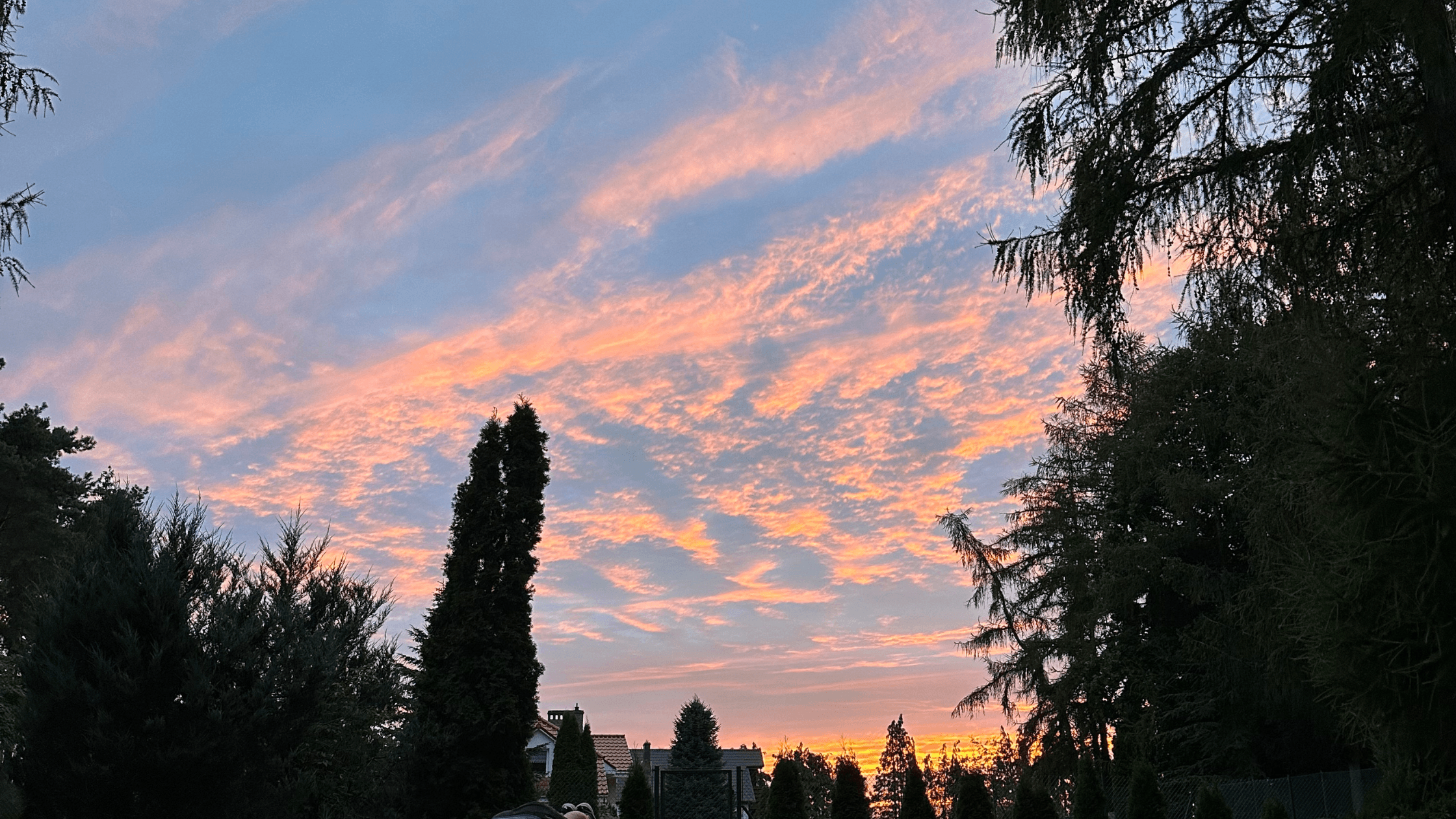 summer sky movement camp